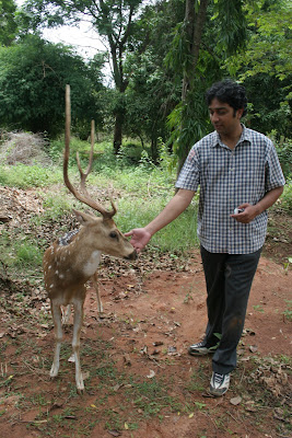 Udai is feeding